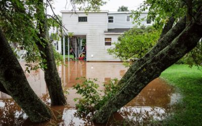 How do I find out if I need flood insurance for my home?